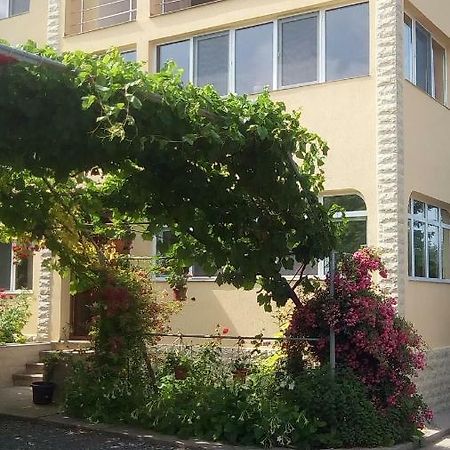 Vila Andre 2 Mai Exterior photo